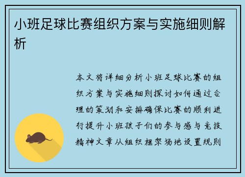 小班足球比赛组织方案与实施细则解析